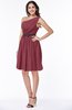 Modern Zipper Chiffon Knee Length Sash Plus Size Bridesmaid Dresses