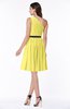 Modern Zipper Chiffon Knee Length Sash Plus Size Bridesmaid Dresses