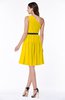 Modern Zipper Chiffon Knee Length Sash Plus Size Bridesmaid Dresses