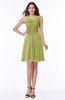Plain A-line Jewel Half Backless Chiffon Mini Plus Size Bridesmaid Dresses