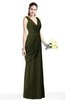 Mature A-line V-neck Chiffon Pleated Plus Size Bridesmaid Dresses