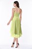 Romantic A-line Sleeveless Zip up Hi-Lo Ribbon Plus Size Bridesmaid Dresses