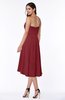 Mature A-line Sleeveless Zip up Ruching Plus Size Bridesmaid Dresses