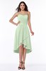 Mature A-line Sleeveless Zip up Ruching Plus Size Bridesmaid Dresses