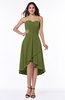 Mature A-line Sleeveless Zip up Ruching Plus Size Bridesmaid Dresses