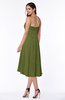 Mature A-line Sleeveless Zip up Ruching Plus Size Bridesmaid Dresses
