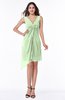 Cute A-line Sleeveless Chiffon Ruching Plus Size Bridesmaid Dresses