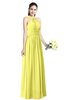 Traditional A-line Halter Criss-cross Straps Chiffon Bow Plus Size Bridesmaid Dresses