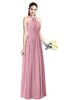 Traditional A-line Halter Criss-cross Straps Chiffon Bow Plus Size Bridesmaid Dresses