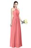 Traditional A-line Halter Criss-cross Straps Chiffon Bow Plus Size Bridesmaid Dresses