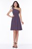 Elegant Asymmetric Neckline Sleeveless Half Backless Chiffon Mini Plus Size Bridesmaid Dresses
