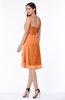 Simple A-line Spaghetti Zip up Chiffon Ruching Plus Size Bridesmaid Dresses