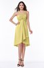 Simple A-line Spaghetti Zip up Chiffon Ruching Plus Size Bridesmaid Dresses
