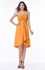 Simple A-line Spaghetti Zip up Chiffon Ruching Plus Size Bridesmaid Dresses