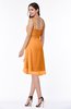 Simple A-line Spaghetti Zip up Chiffon Ruching Plus Size Bridesmaid Dresses
