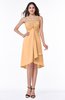 Simple A-line Spaghetti Zip up Chiffon Ruching Plus Size Bridesmaid Dresses