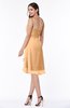 Simple A-line Spaghetti Zip up Chiffon Ruching Plus Size Bridesmaid Dresses