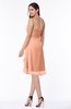 Simple A-line Spaghetti Zip up Chiffon Ruching Plus Size Bridesmaid Dresses