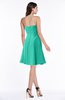 Modern Sleeveless Zip up Chiffon Mini Plus Size Bridesmaid Dresses