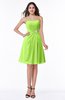 Modern Sleeveless Zip up Chiffon Mini Plus Size Bridesmaid Dresses