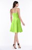 Modern Sleeveless Zip up Chiffon Mini Plus Size Bridesmaid Dresses
