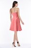 Modern Sleeveless Zip up Chiffon Mini Plus Size Bridesmaid Dresses